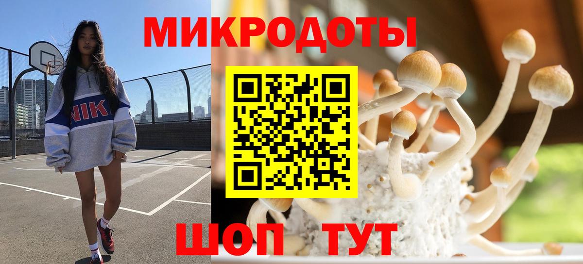 Нижний Тагил  Галлюциногенные грибы GOLDEN TEACHER  Псилоцибиновые грибы Magic Shrooms  Вход с VPN 